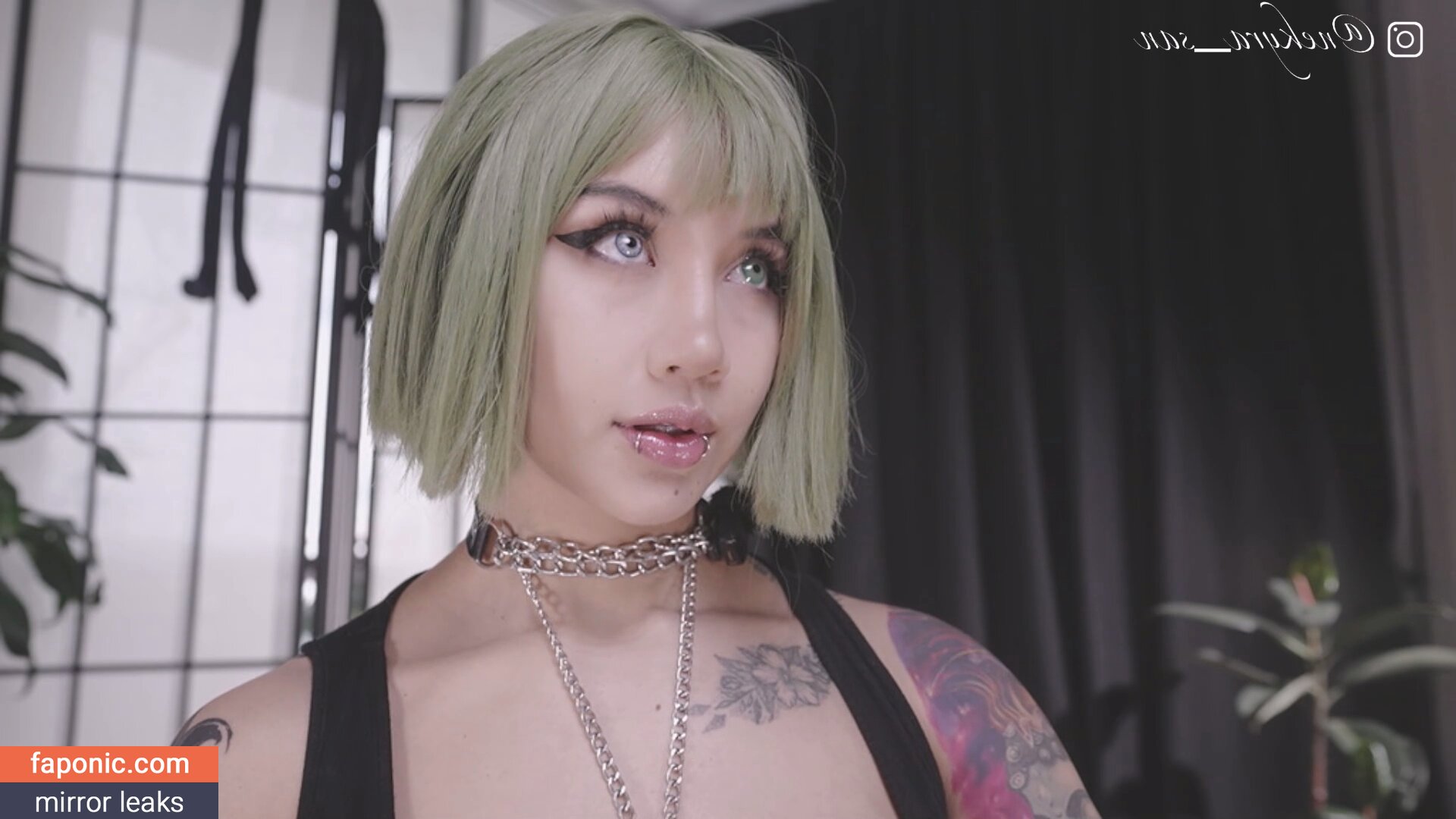 Kittymolly_